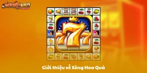 Giới thiệu về Xèng Hoa Quả